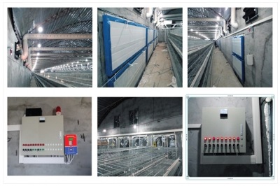 電動(dòng)推桿是怎樣與養(yǎng)殖環(huán)境控制器連接的？