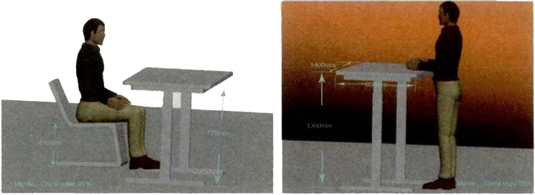 人體模型示意圖