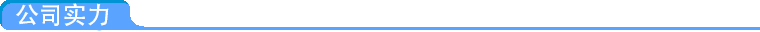 公司實力